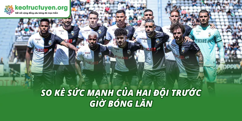 Tỷ Lệ Kèo Trận FC Felgueiras Vs SC Farense 16/11 Chuẩn Nhất Phong độ và lực lượng giữa FC Felgueiras và SC Farense