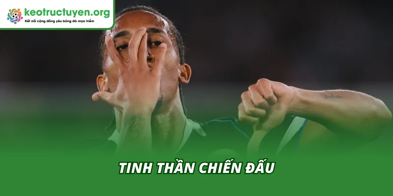 Joao Pedro Tái Hiện Hình Bóng Diego Costa: Quái Thú Mới Đến Tinh thần của Joao Pedro tái hiện hình bóng Diego Costa