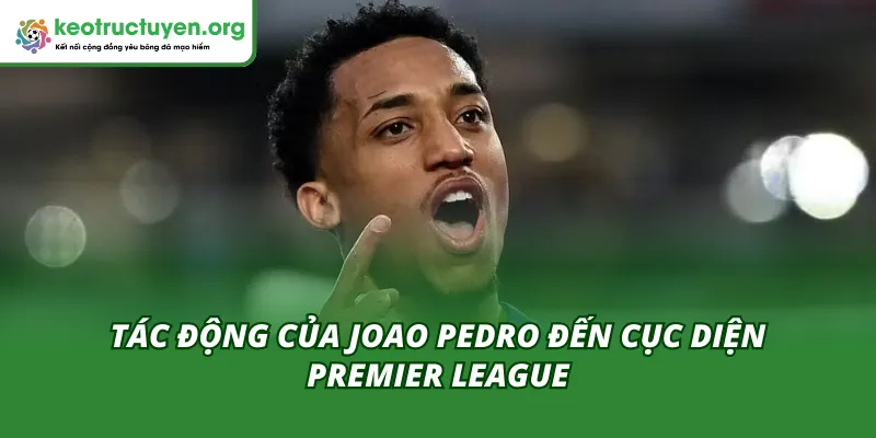 Joao Pedro Tái Hiện Hình Bóng Diego Costa: Quái Thú Mới Đến Joao Pedro tái hiện hình bóng Diego Costa tác động cực kỳ mạnh mẽ