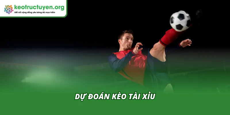 Tỷ lệ kèo trận Southampton VS Blackburn Rovers 15/04 Chuyên gia nhận định kèo Tài Xỉu trong trận Southampton VS Blackburn Rovers 15/04