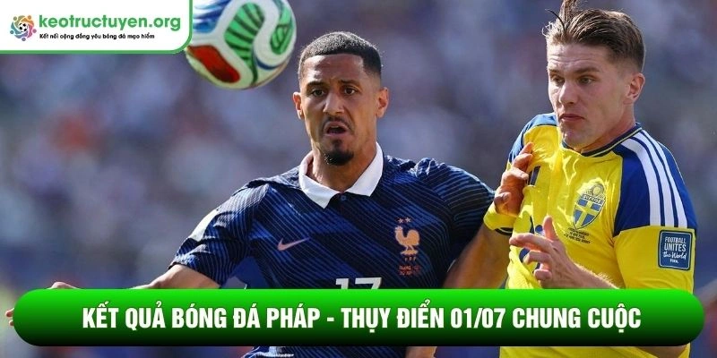 Kết quả bóng đá Pháp - Thụy Điển 01/07: Thắng Toàn Diện Kết quả bóng đá Pháp - Thụy Điển 01/07 chung cuộc